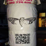 Cicada 3301