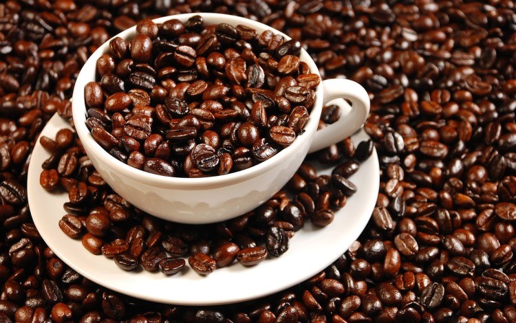 El consumo de cafeína retrasa el desarrollo del cerebro