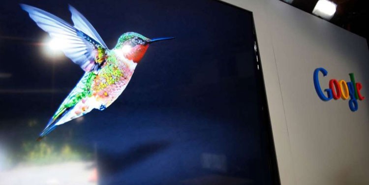 Hummingbird