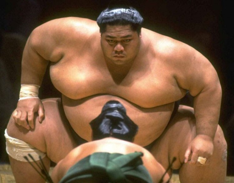 Japón necesita luchadores de Sumo