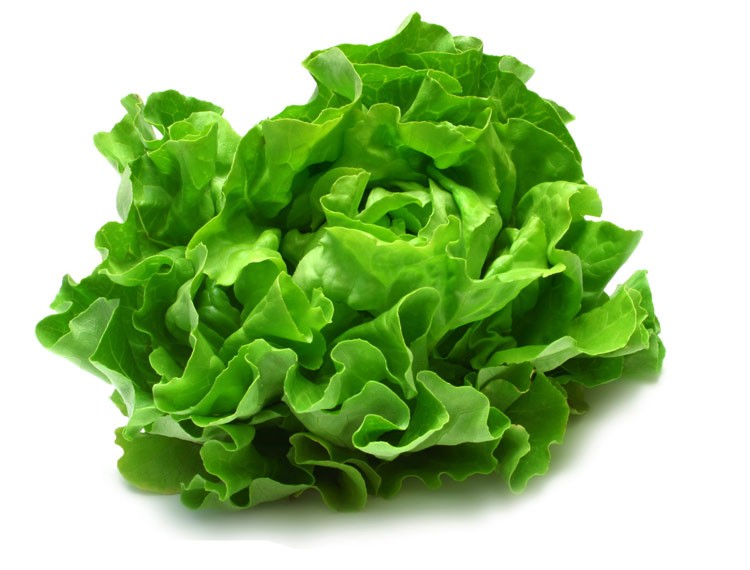 Nasa empezara a producir lechuga en el espacio