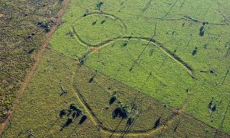 "Sorprendente" descubrimiento en el Amazonas. ¿El Dorado?