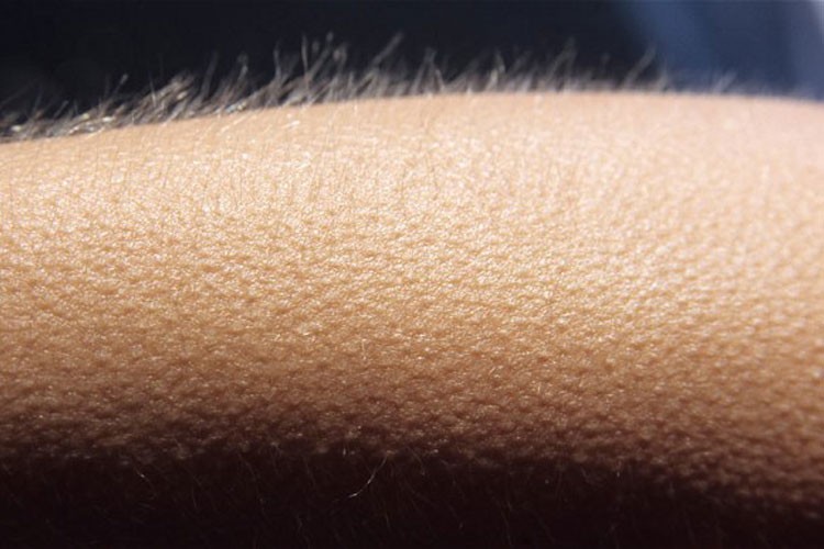 orgasmo cerebral