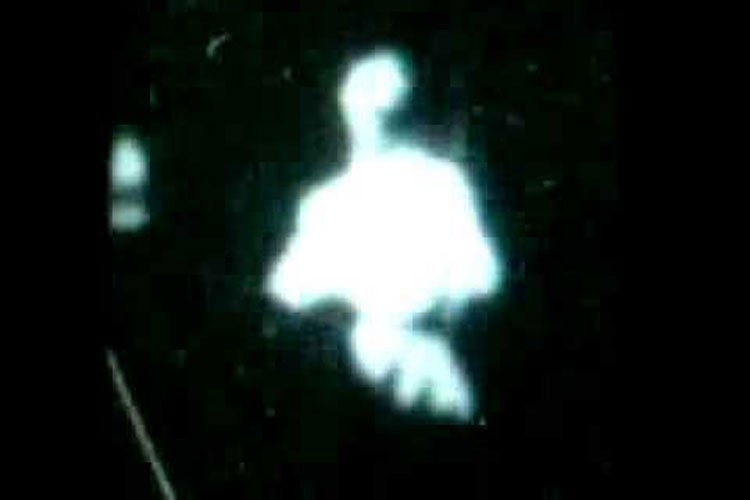 Monkeyshines