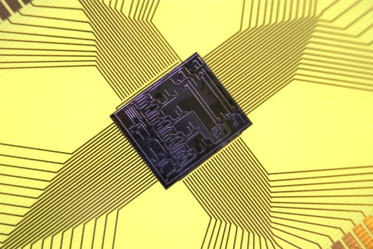 nanochip de oro