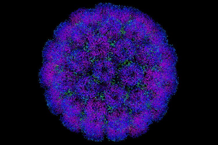 Crea un virus