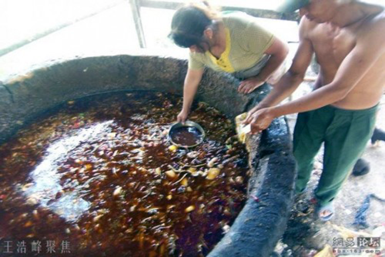 Taiwan afectada por fraude del aceite de alcantarilla
