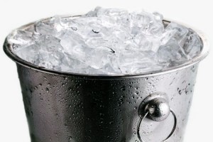 Hasta los perros aceptan el desafío del cubo de agua