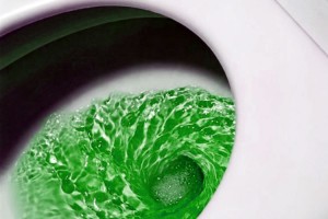 Razón de heces color verde
