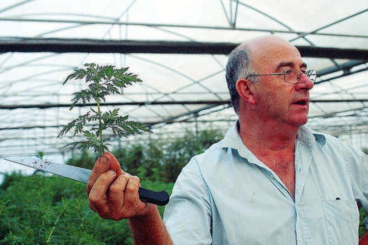 Josep Pàmies