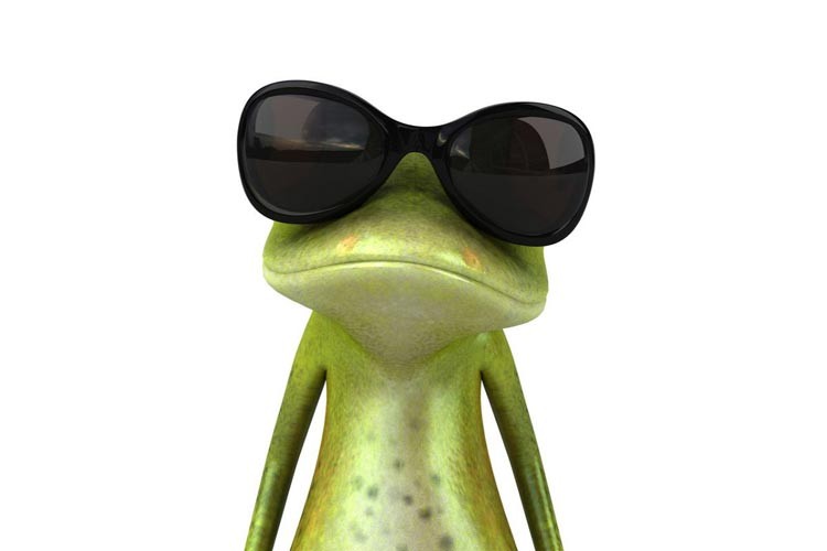Rana con lentes