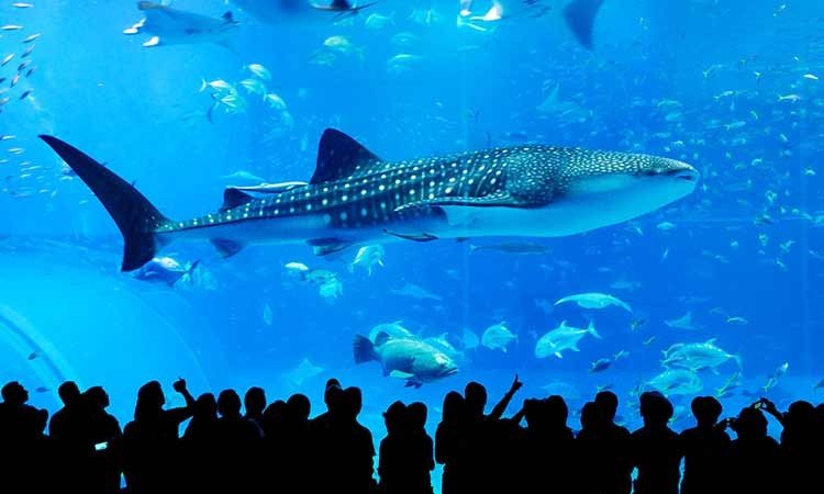 Japón creará una ciudad submarina