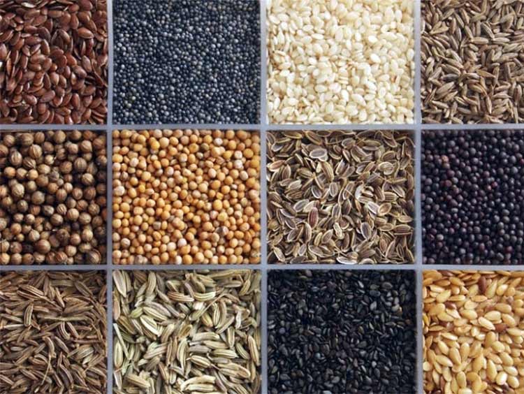 7 Súper semillas para la Salud