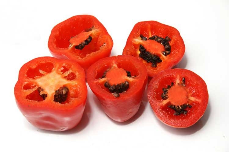 Capsaicina pura