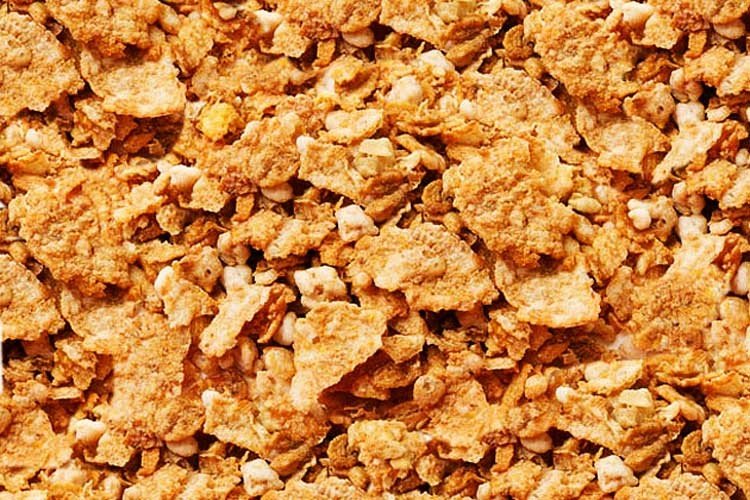 Alimentos ricos en fibra
