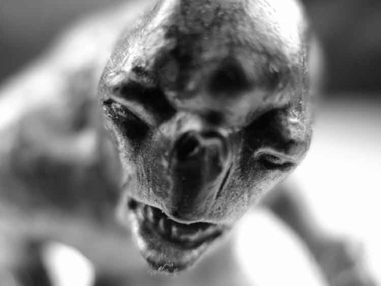 alienígena
