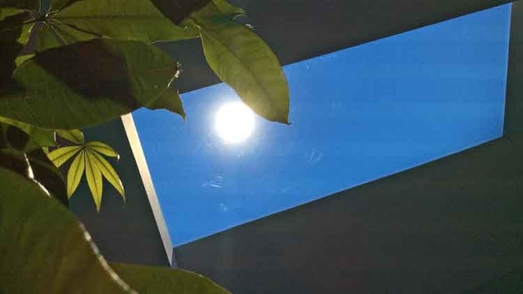 luzcan como el sol