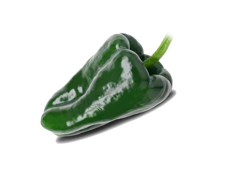poblano