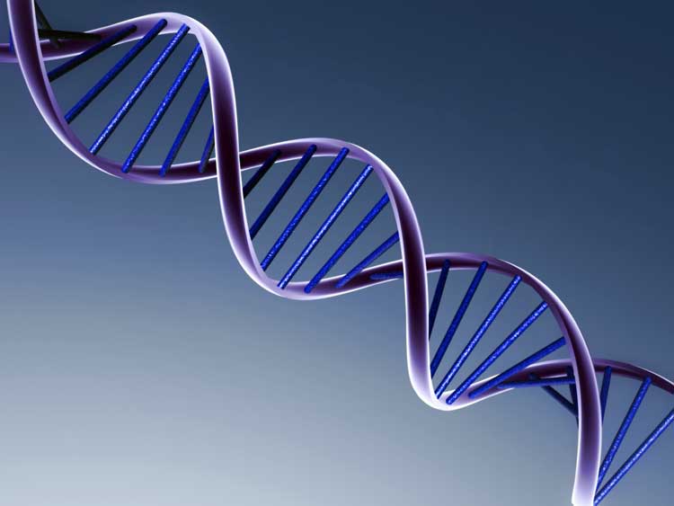 dna