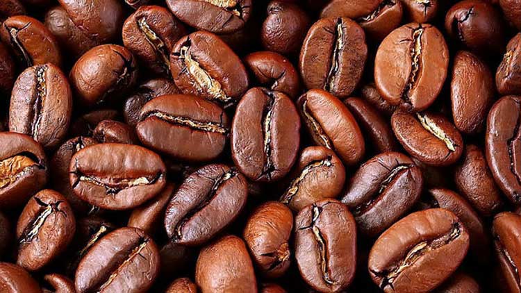 proteína del café