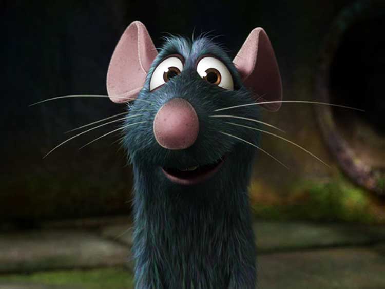 ratones