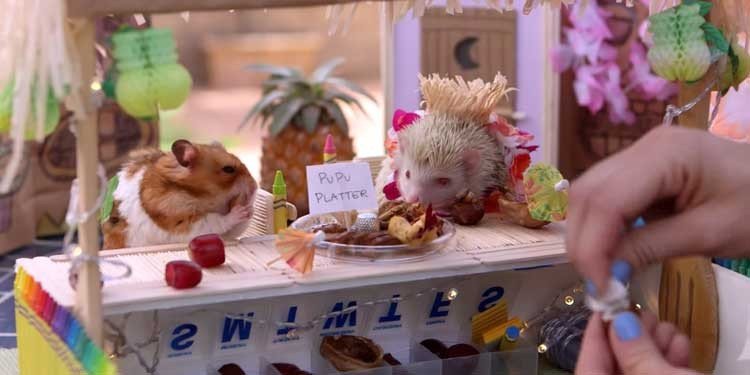 Hamsters