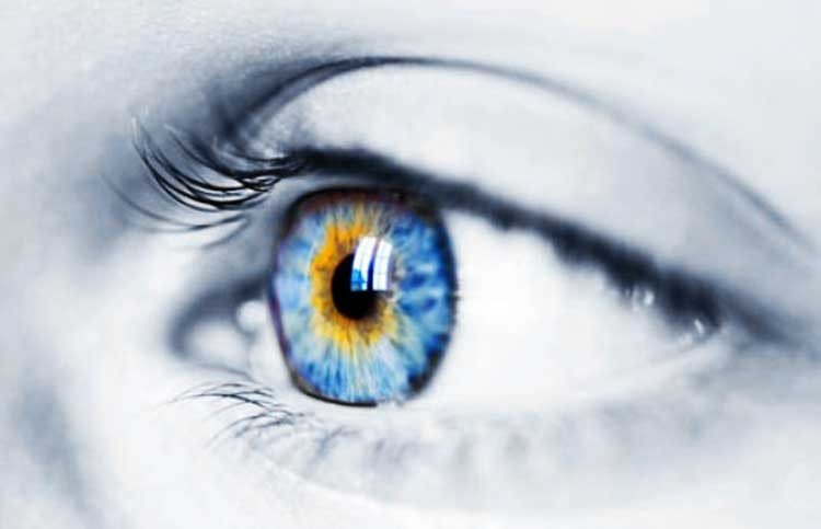 Retina Artificial