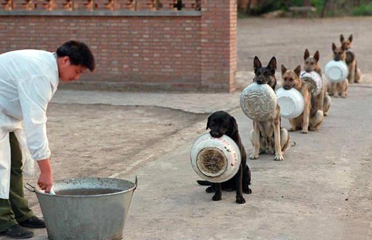 policía en China