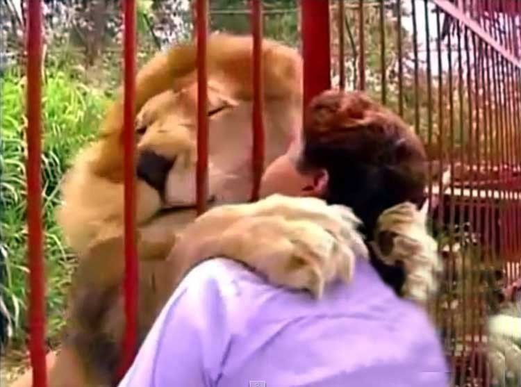 amoroso abrazo