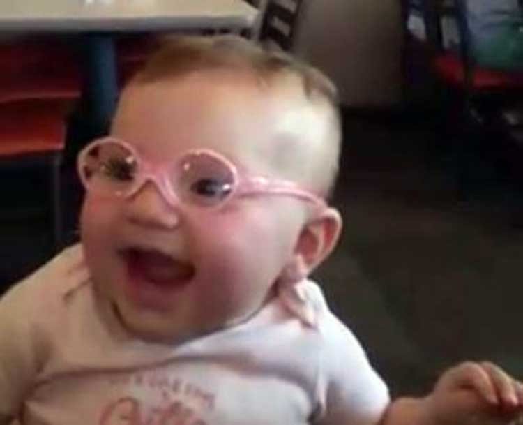 Piper