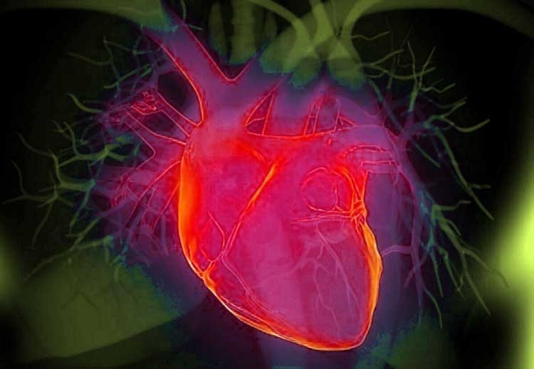 corazón
