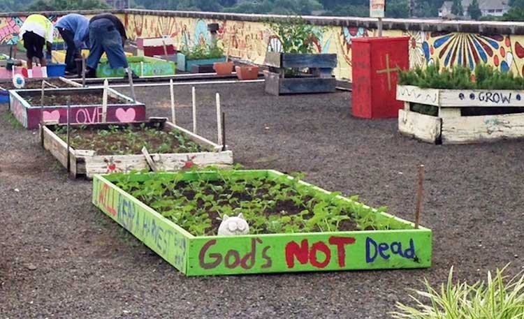 huerta organica