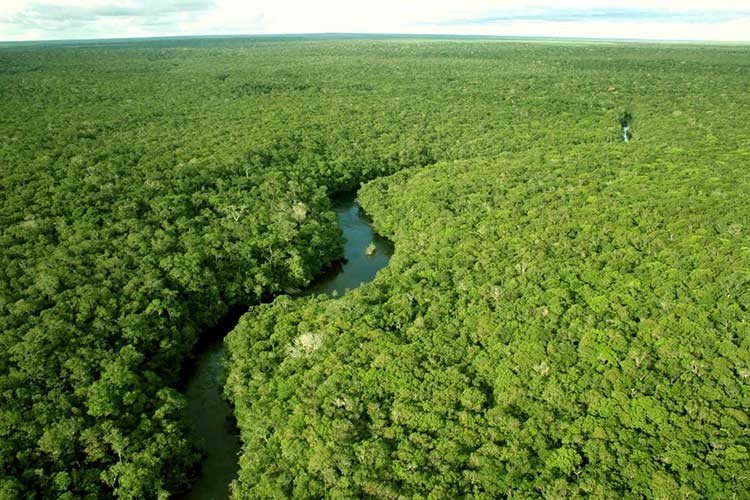 Deforestación en Brasil