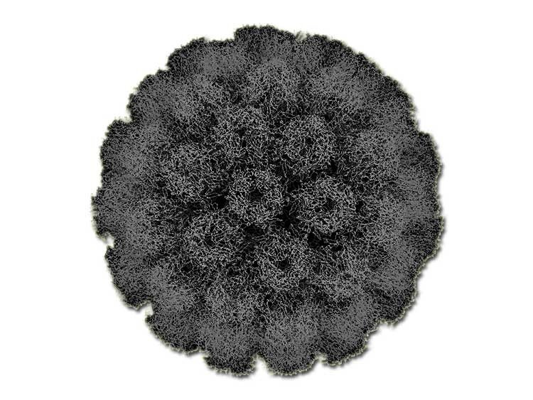 virus