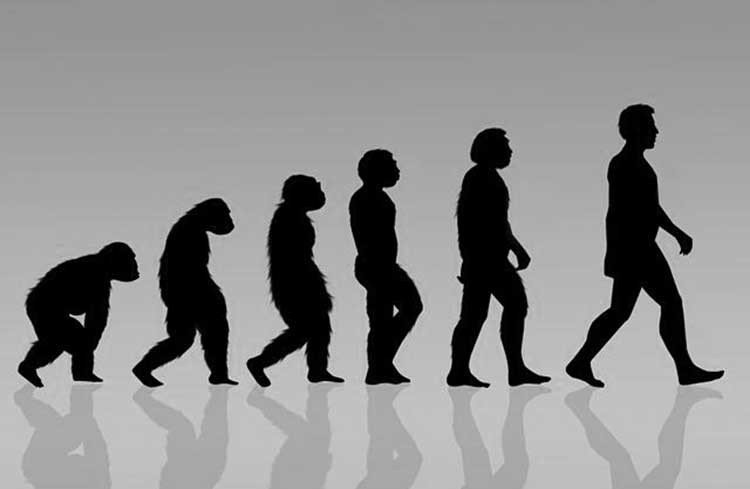 la teoría de Darwin