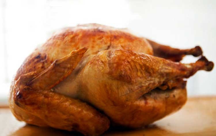 pavo