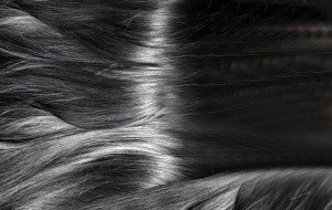 Los genes detrás de su pelo raro