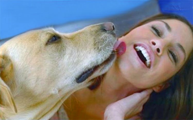 Hospitalizada después de ser lamida por un perro