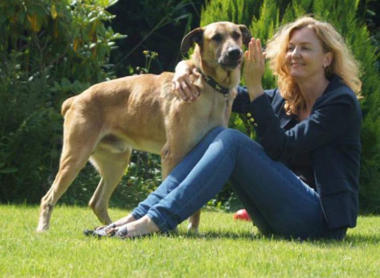 Azafata adopta un perro que siempre la esperaba
