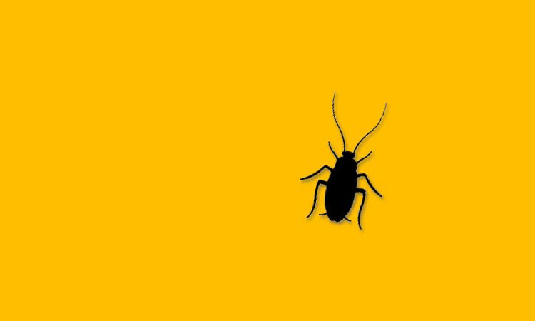 Tratan de saber para qué sirve la cucaracha