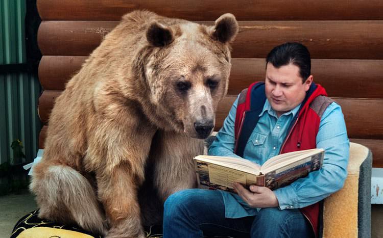 El oso pardo de la familia rusa - inesperada mascota