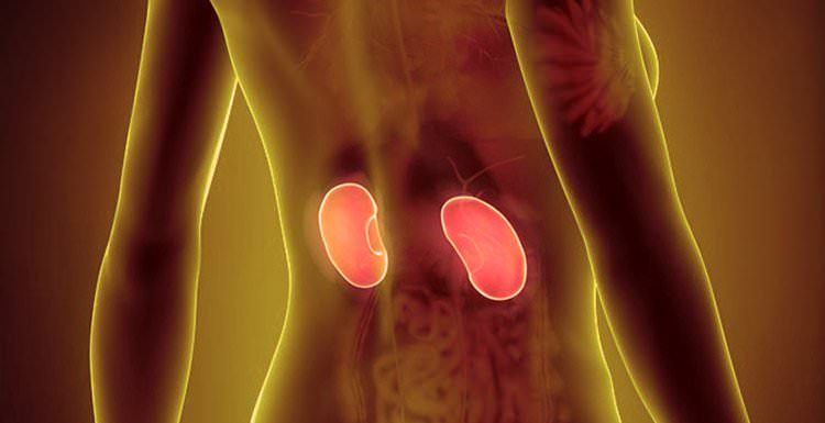 10 alimentos malos para la salud de los riñones
