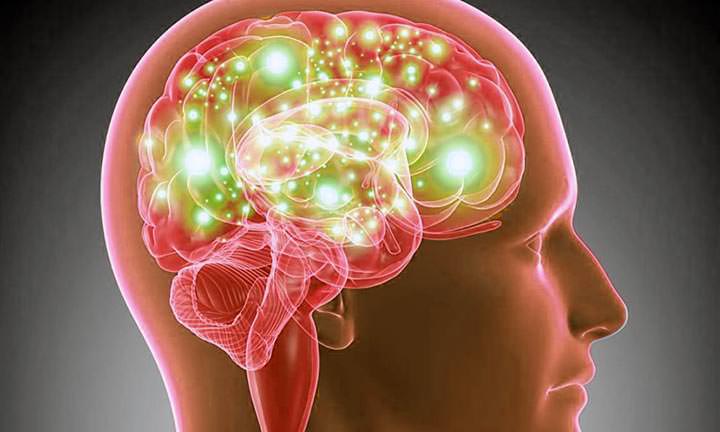 La madurez del cerebro llega recién a los 36 años