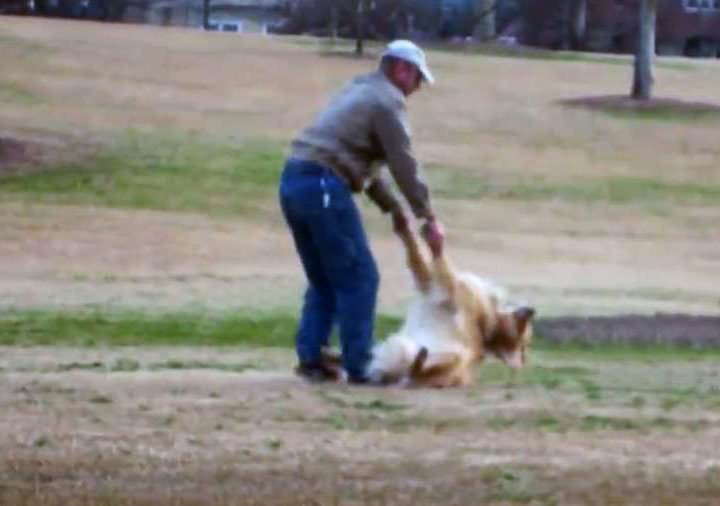 Perro obstinado se niega a abandonar el parque