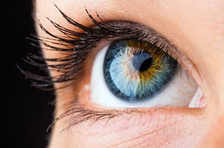 Estudiante crea una nueva retina sintética