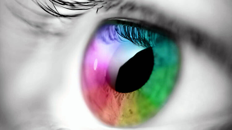 Colores - ¿Cómo los vemos? ¿Hay gente que ve más colores?