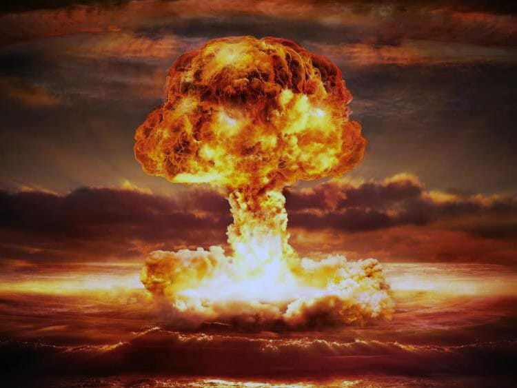 4 animales que sobreviven a un ataque nuclear