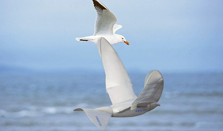 El pájaro Robot – usted no podrá creer como vuela